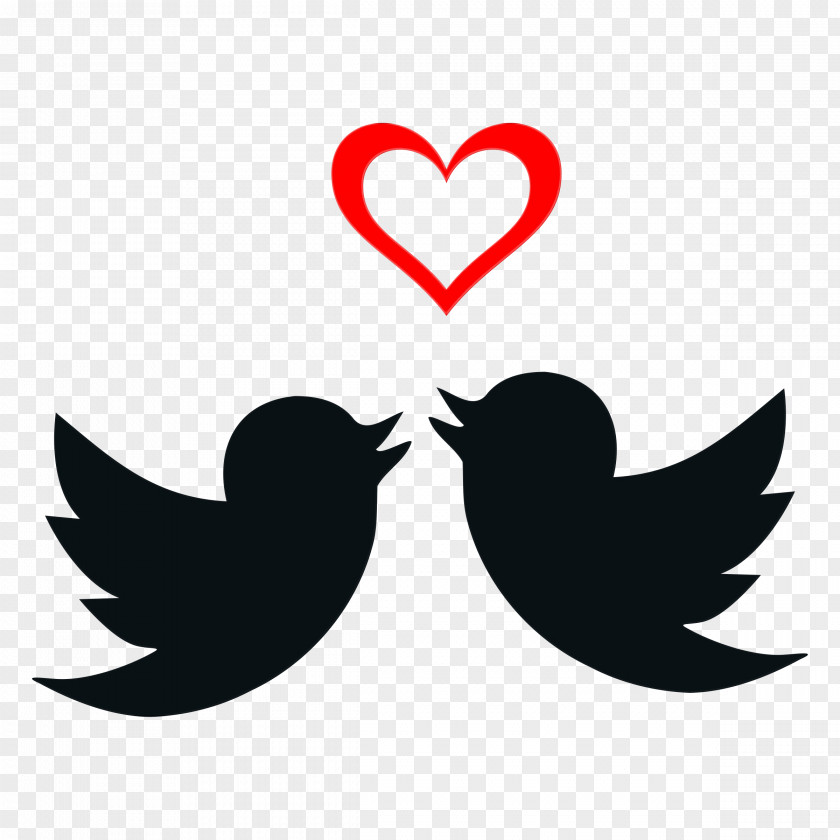 Heart Beak Love Background PNG
