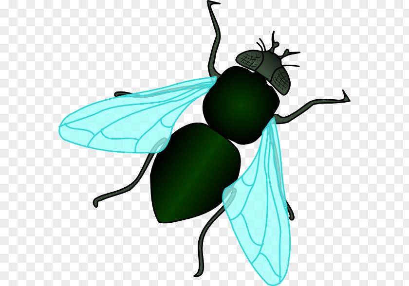 Housefly Cliparts Fly Clip Art PNG