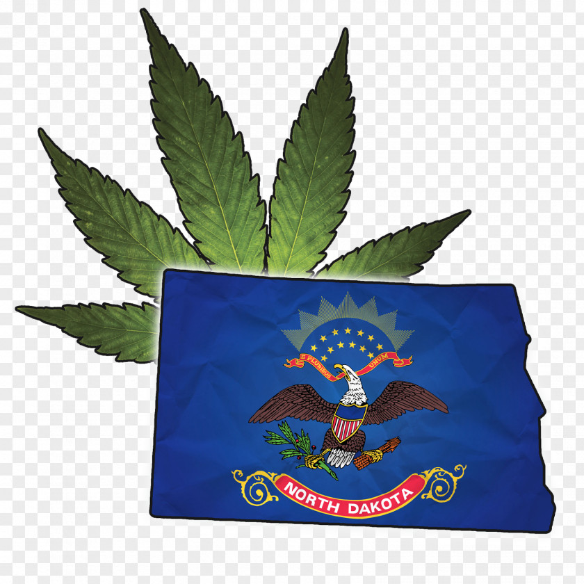 Leaf New Jersey North Dakota U.S. State Flag PNG