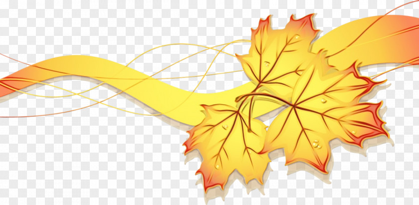 Plane Maple Teacher Day Background PNG