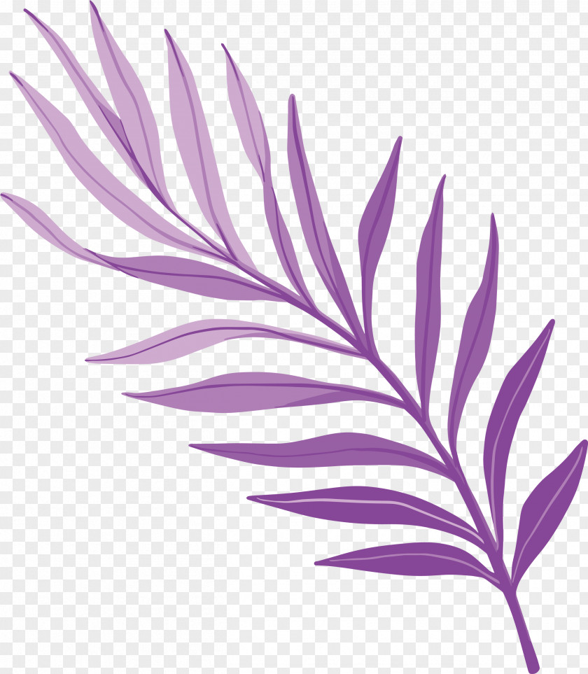 Plant Stem Petal Leaf Purple Line PNG