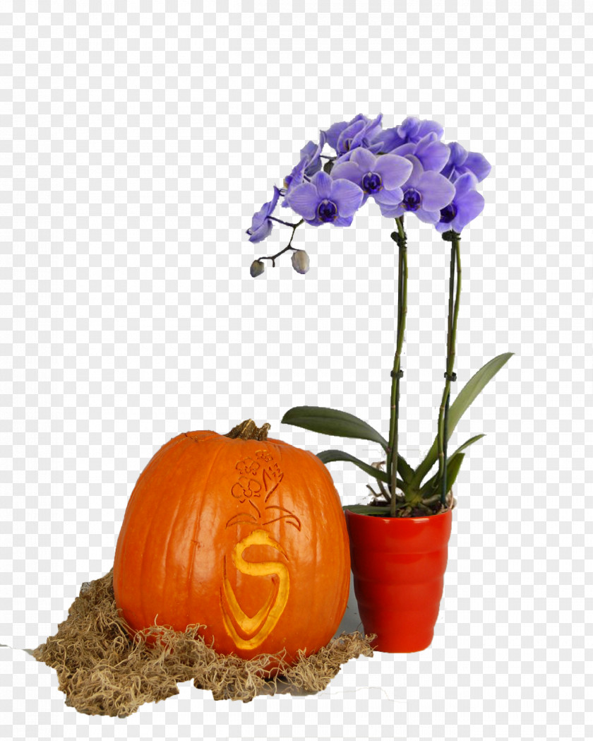 Pumpkin Floristry Cut Flowers Flowerpot PNG