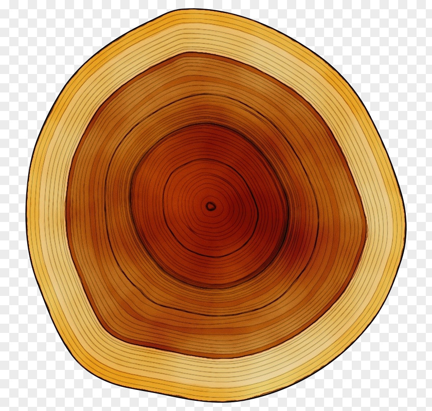 Wood /m/083vt Circle Varnish Tableware PNG
