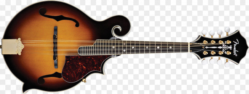 Acoustic Guitar Musical Instruments String Mandolin Ukulele PNG