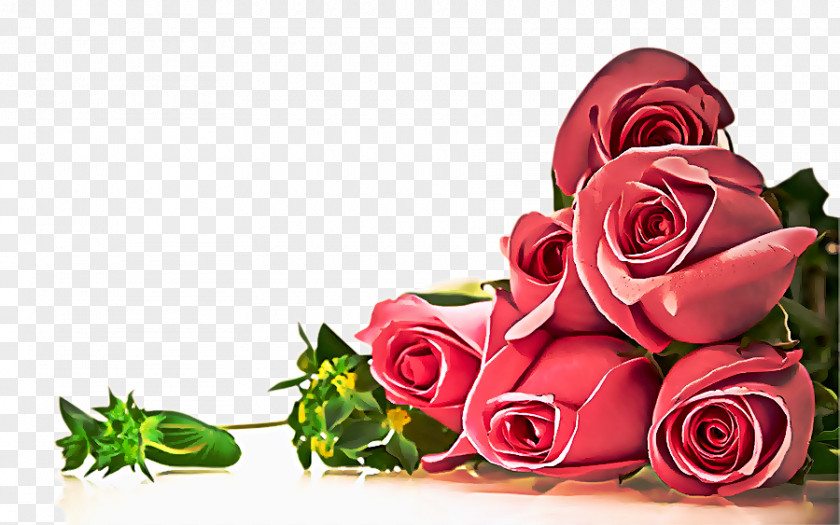 Bouquet Petal Garden Roses PNG