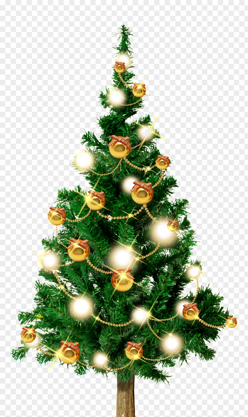 Christmas Tree Fir Santa Claus Day Ornament PNG