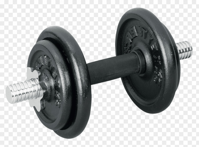 Dumbbell Exercise Weight Training Physical Fitness PNG