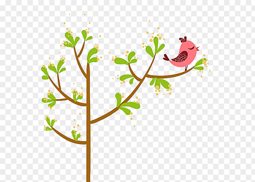 Green Tree Bird Cartoon Red PNG