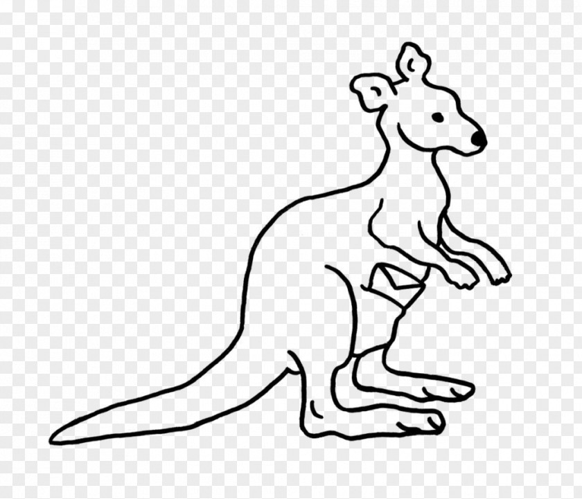 Kangaroo Macropodidae Whiskers Canidae Dog PNG