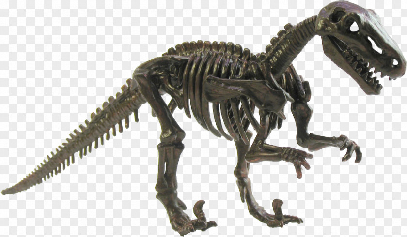 Dinosaur Plateosaurus Tyrannosaurus Meat-Eating Dinosaurs Abydosaurus PNG