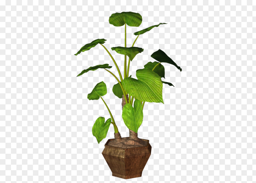 Plant Flowerpot Houseplant Rock Clip Art PNG