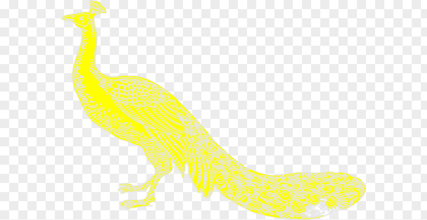 Segunda Silhouette Clip Art Peafowl Image Illustration PNG