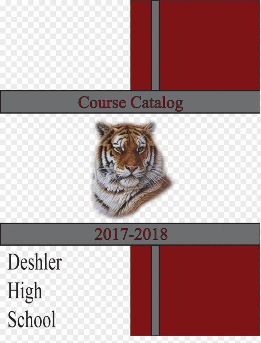 Catalog Cover Cat Tiger Oil Painting PNG