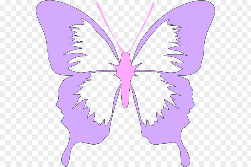 Lavender Cliparts Butterfly Black And White Clip Art PNG