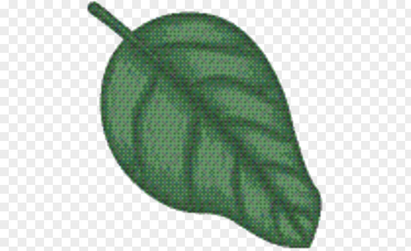 Cap Wool Green Leaf Background PNG