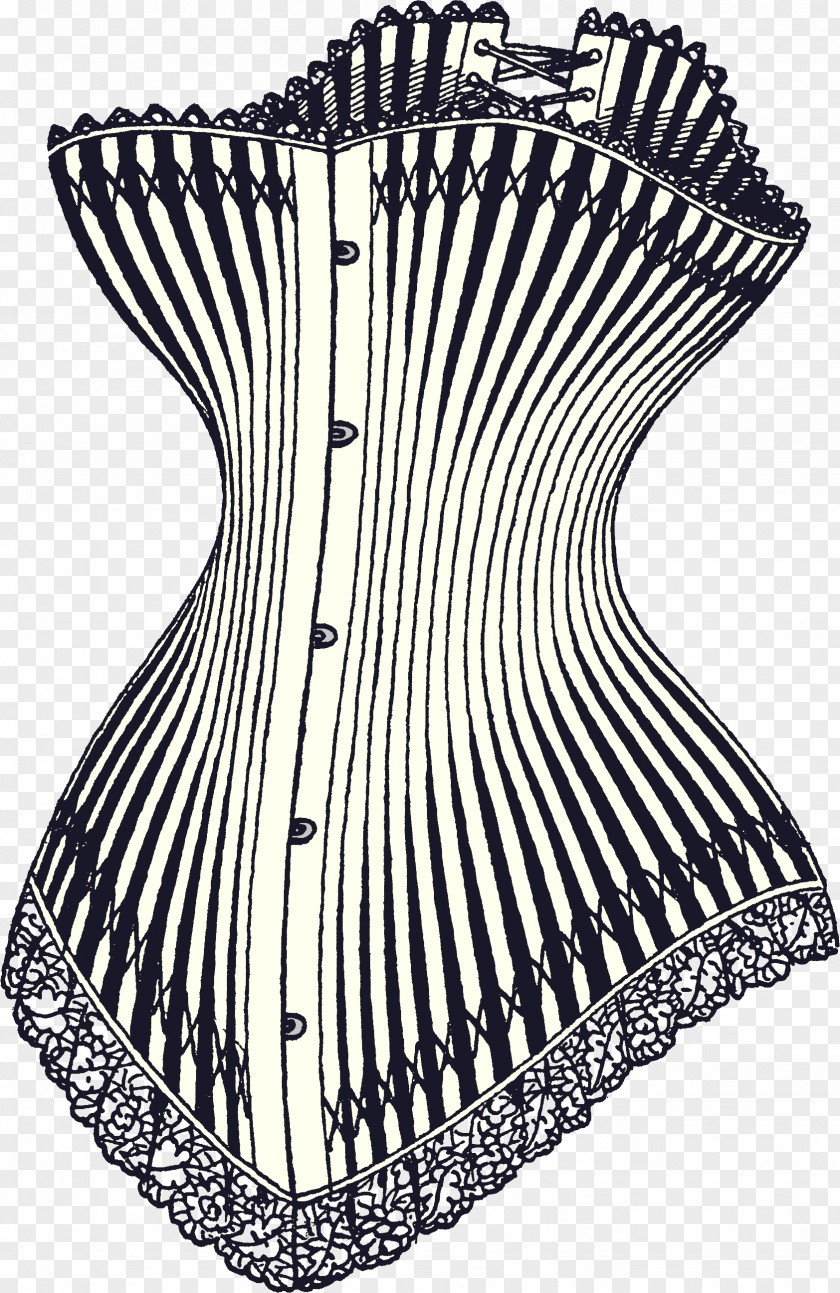 Corset Controversy Hourglass History Of Corsets Bone PNG