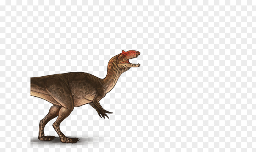 Dinosaur Tyrannosaurus Allosaurus ARK: Survival Evolved Spinosaurus PNG
