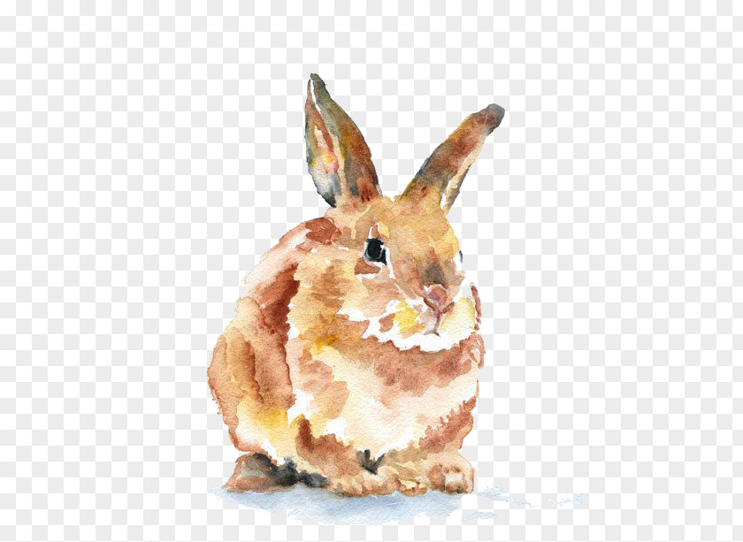 Hand-painted Rabbit PNG