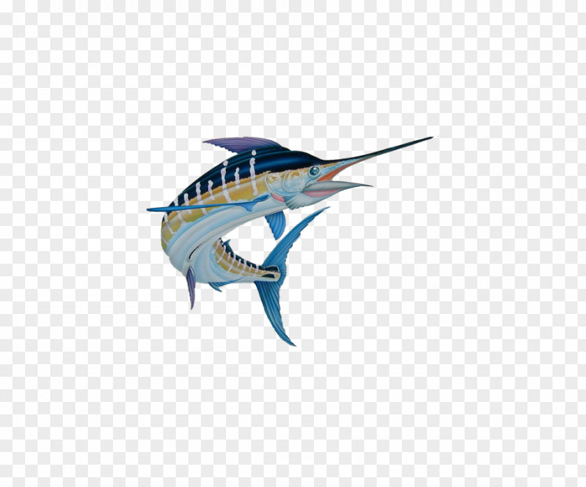 Mahi-mahi Swordfish Marine Mammal Microsoft Azure PNG