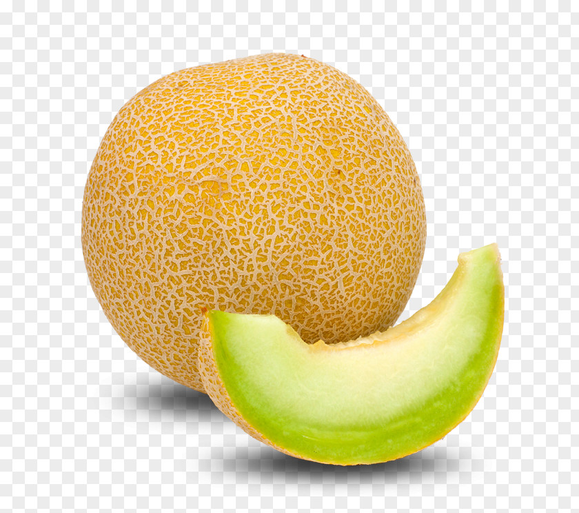 Melon Fruit Cantaloupe Orange PNG