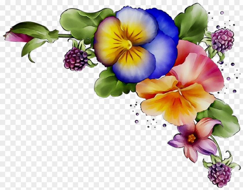 Pansy Illustration Floral Design Herbaceous Plant PNG