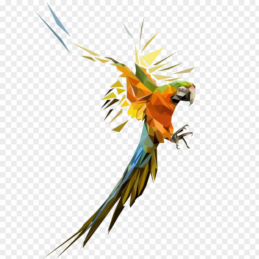 Polygonal Bird Parrot Geometry Parakeet PNG