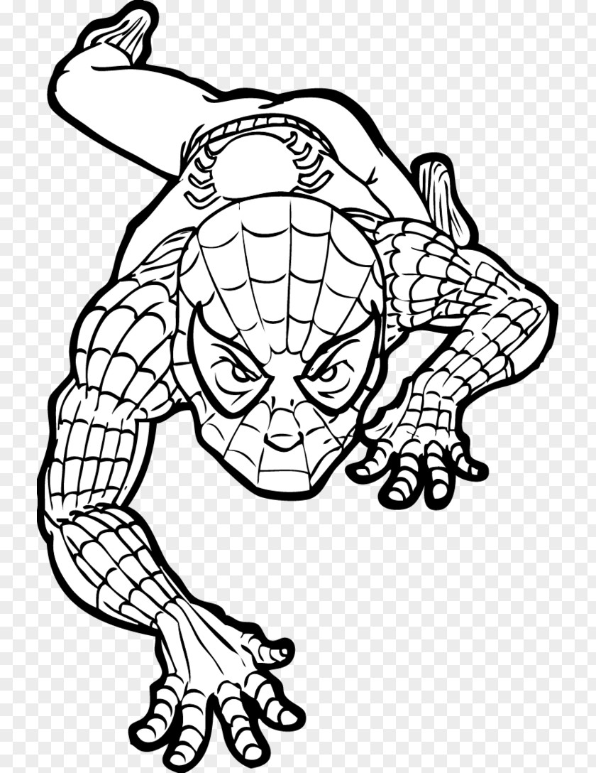 Spiderman Da Colorare Spider-Man DeviantArt Visual Arts PNG