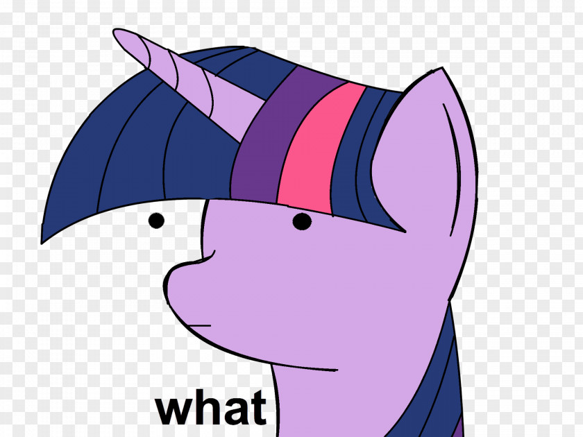 Ask Anything Pony Twilight Sparkle Pinkie Pie Shining Armor Winged Unicorn PNG