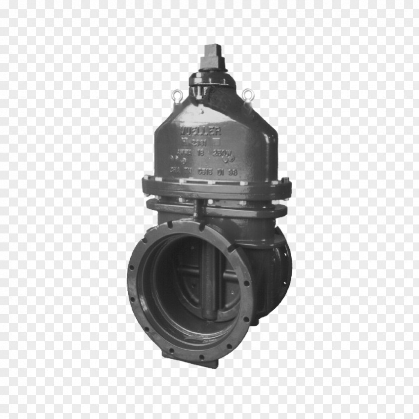 Handwheel Gate Valve Pipe Mueller Co. Fire Hydrant PNG