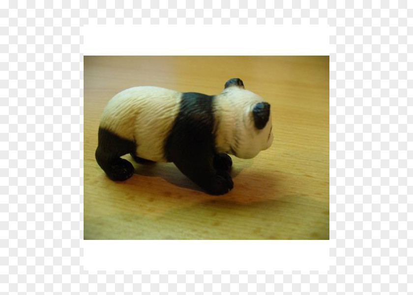 Panda Baby Giant Stuffed Animals & Cuddly Toys Snout Ailuropoda PNG