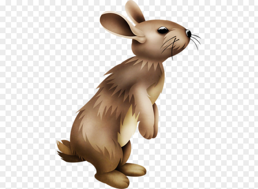 Tail Toy Easter Bunny Background PNG