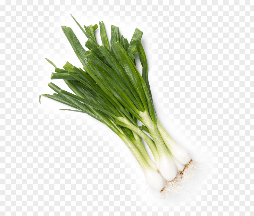 Vegetable Allium Fistulosum Calçotada Leek Scallion PNG