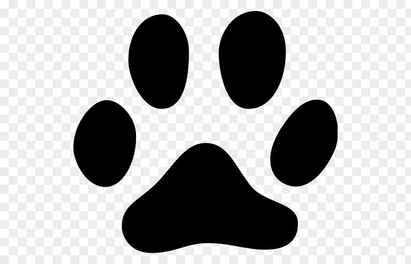 Cat Kitten Paw Footprint Animal Track PNG
