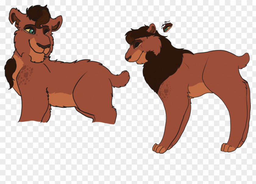 Dog Lion Bear Cat PNG