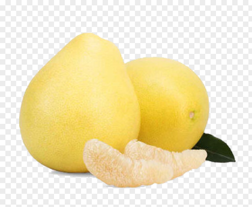 Fruit Grapefruit Sweet Lemon Pomelo Citrus Junos PNG