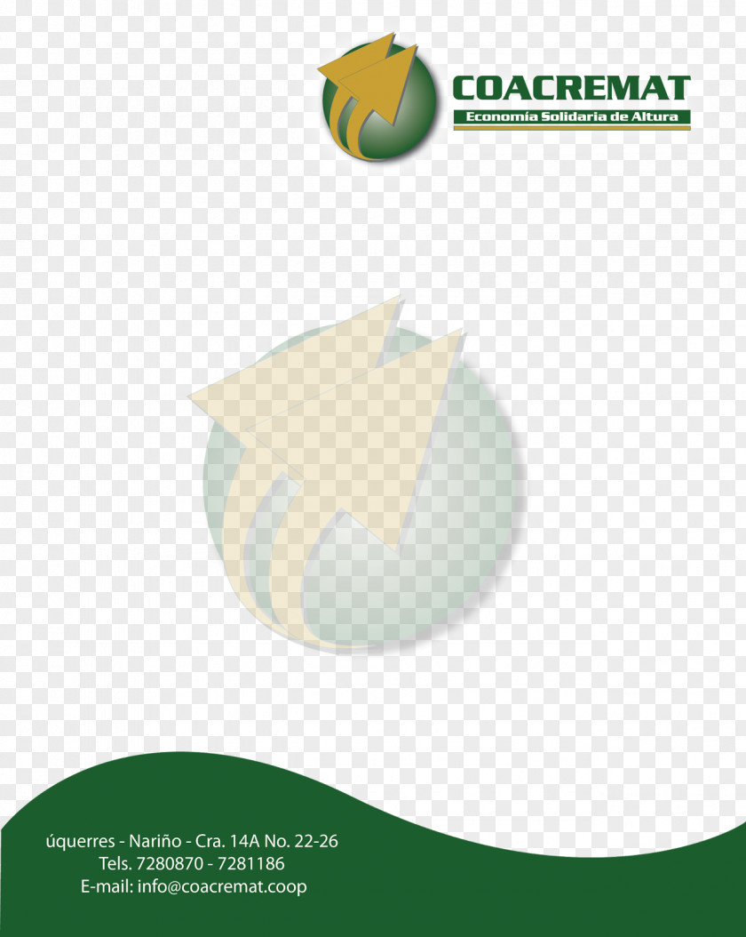 Letterhead Design Brand Logo Product Font PNG