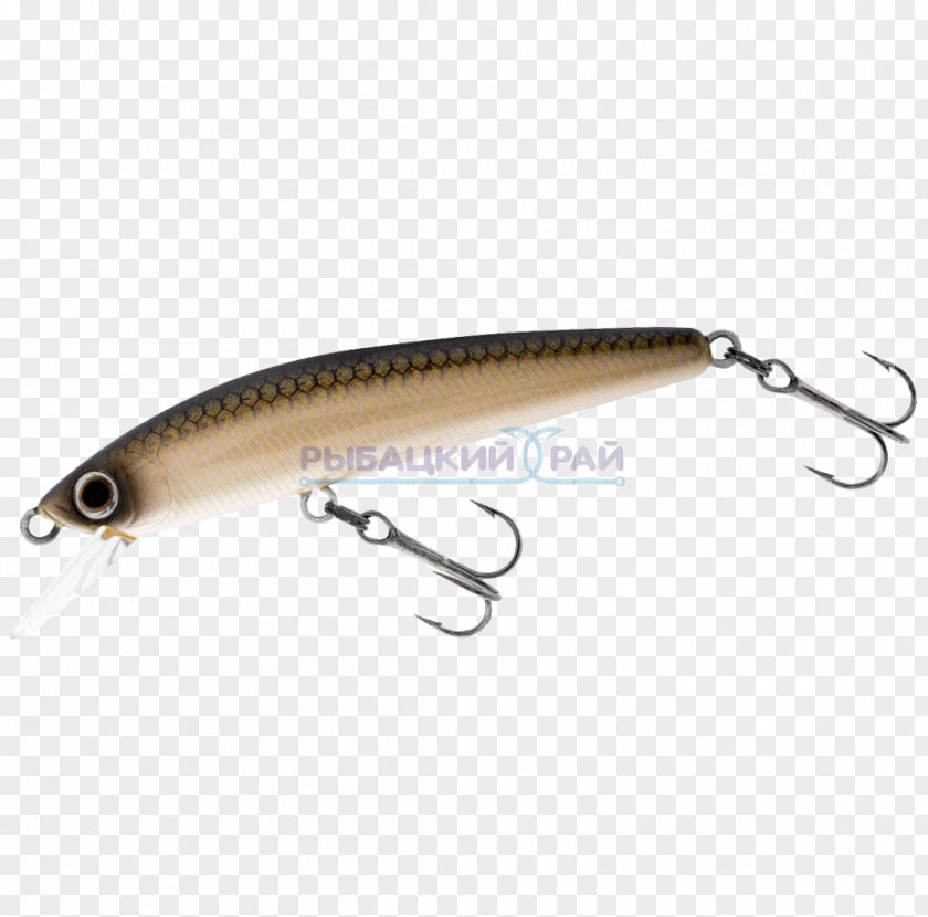 Minnow Spoon Lure Fish AC Power Plugs And Sockets PNG