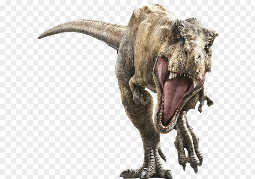 Suchomimus Jurassic World Tyrannosaurus Rex Park Dinosaur Velociraptor Wall Decal PNG