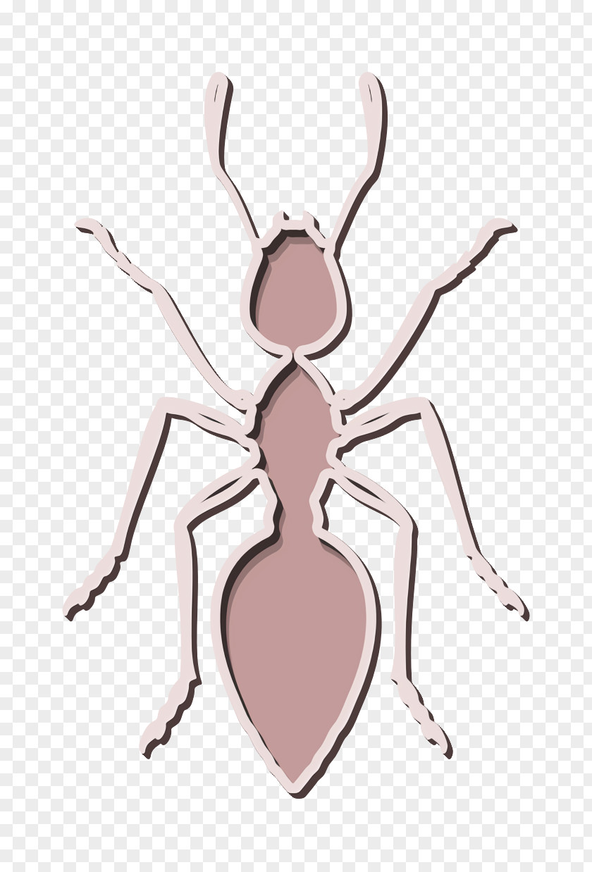 Animal Kingdom Icon Ant Animals PNG