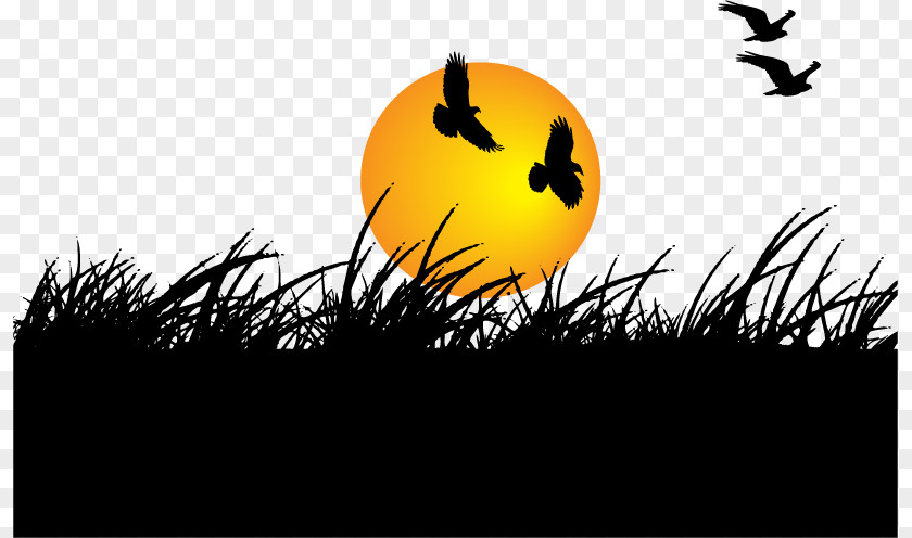 Birds And Grass Vector Sunset New Years Day Wish Marathi Greeting PNG
