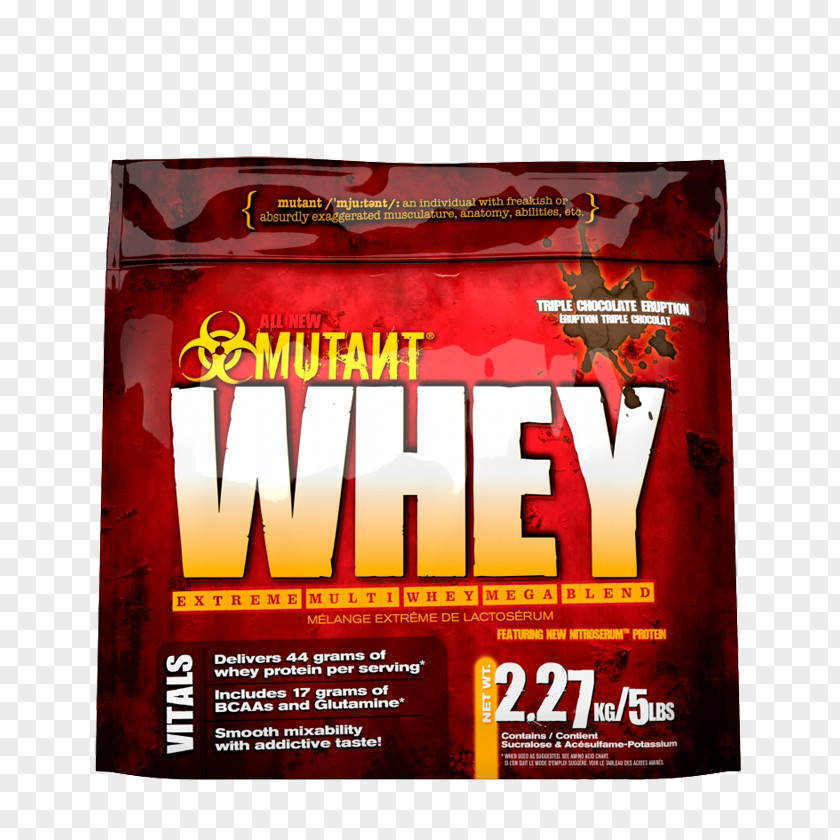 Chocolate Dietary Supplement Whey Protein Bodybuilding PNG