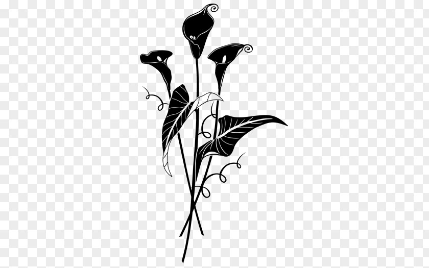 Design Twig Desktop Wallpaper Plant Stem PNG