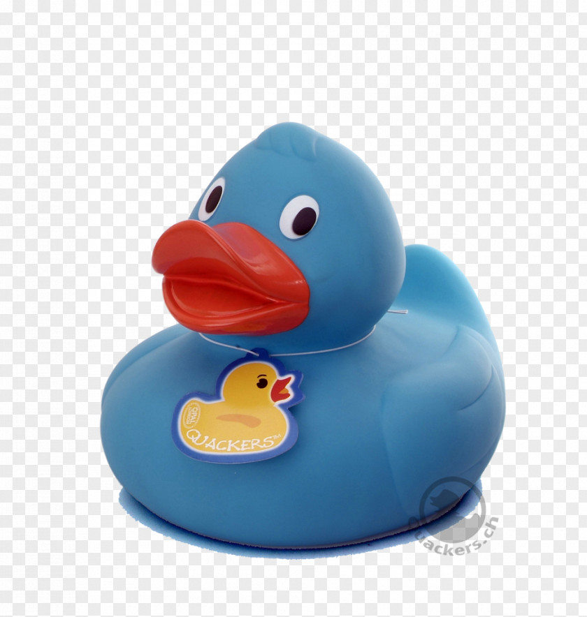 Duck Rubber Cobalt Blue PNG