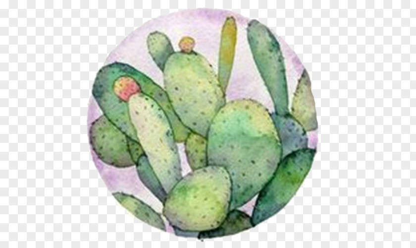 Green Cactus Barbary Fig Watercolor Painting Cactaceae Illustration PNG