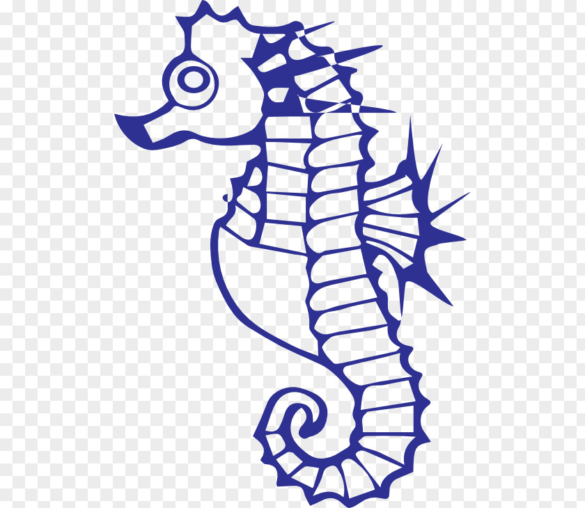 Seahorse Mister Coloring Book Clip Art PNG