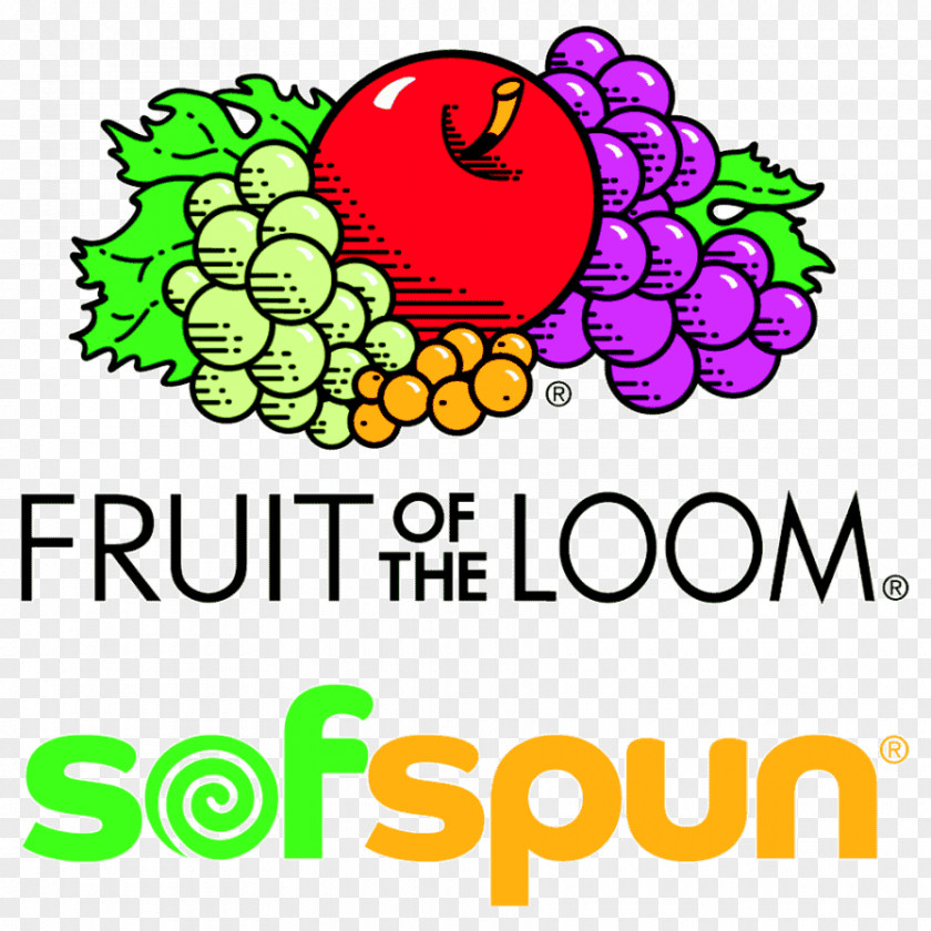 T-shirt Fruit Of The Loom Briefs Clothing Sizes PNG