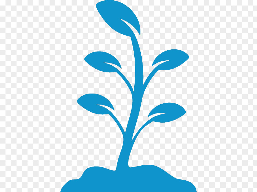 Tree Planting Clip Art Seed Plants PNG