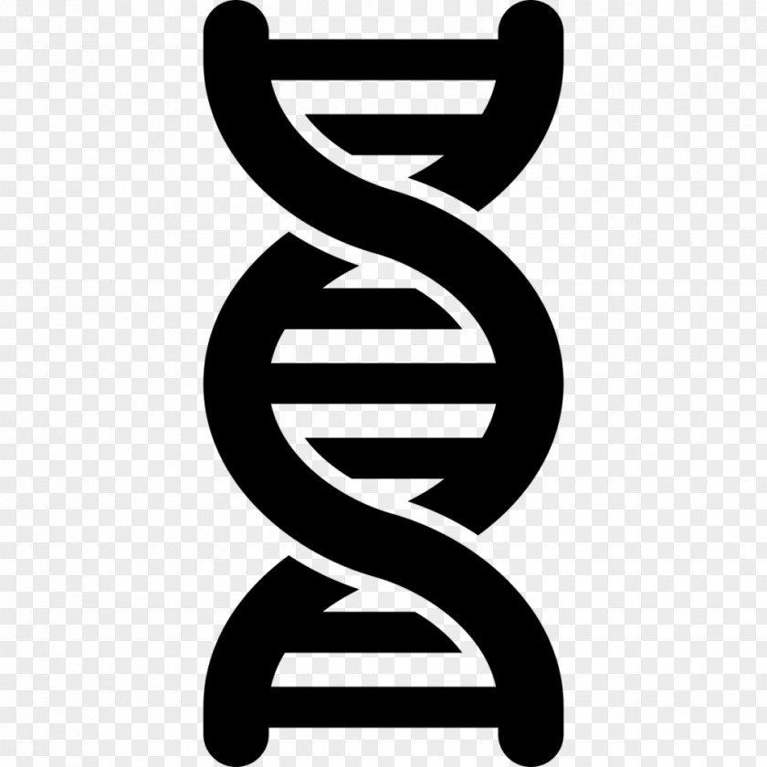 DNA Nucleic Acid Double Helix Symbol Clip Art PNG