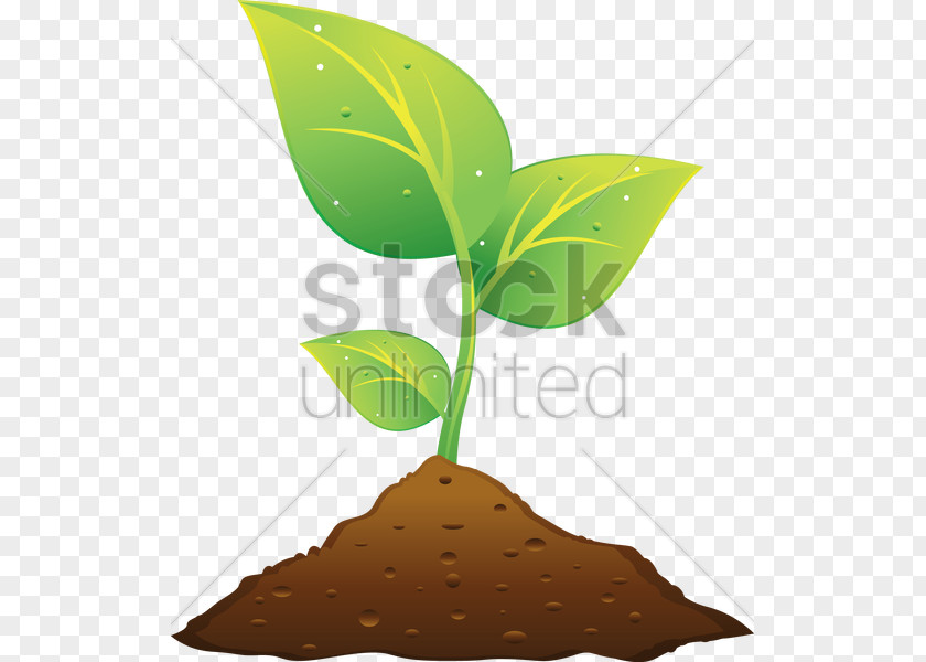 Plant And Soil Clip Art PNG