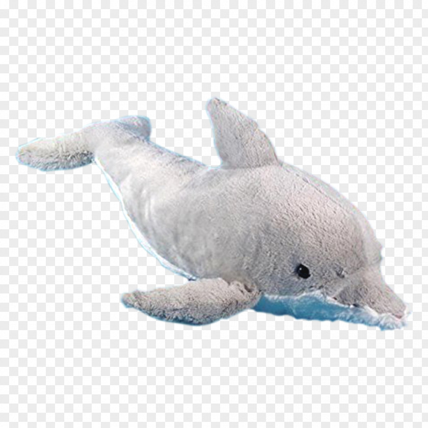 Stuffed Toy Dolphin Porpoise Animals & Cuddly Toys Cetacea Wildlife PNG